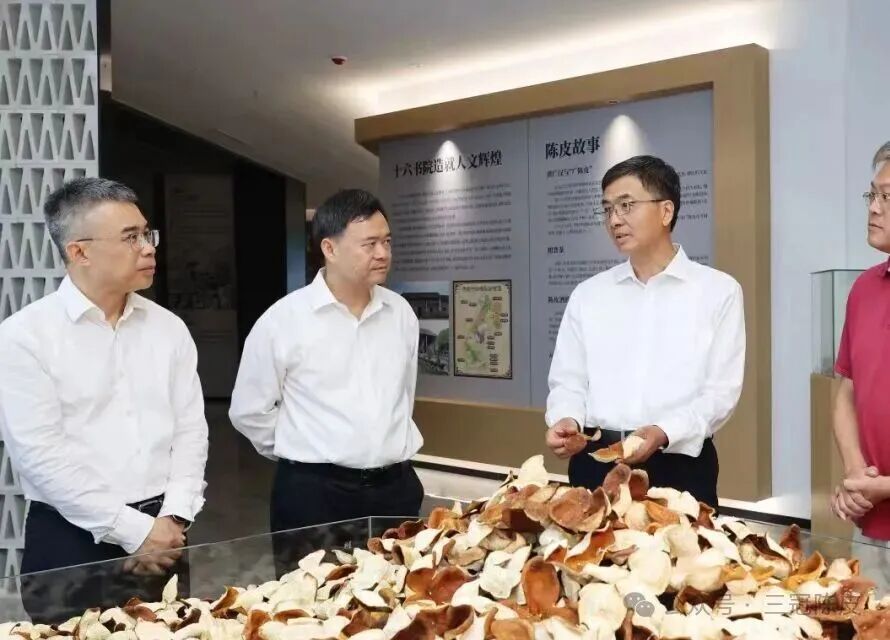 自治区党委书记陈刚到广西供销三冠陈皮有限公司调研